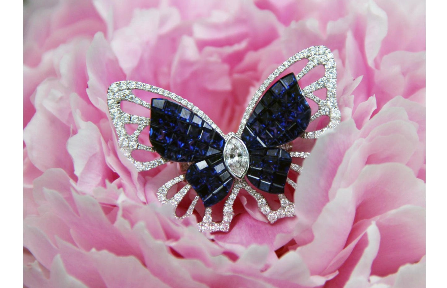 Give your ring a new lease of life with a jacket